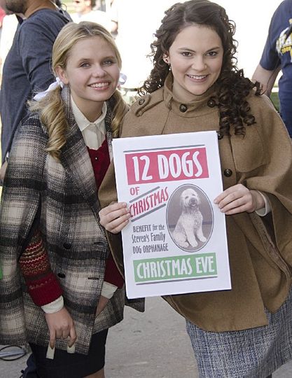 ảnh 12 독스 오브 크리스마스: 그레이트 퍼피 레스큐 12 Dogs of Christmas: Great Puppy Rescue