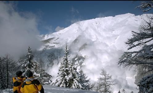 알프스: 아버지의꿈을찾아서 The Alps劇照