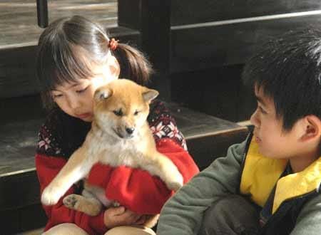 마리와 강아지 이야기 A Tale of Mari and Three Puppies, マリと子犬の物語 写真