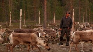 앗싱키: 더 스토리 오브 아크틱 카우보이즈 Aatsinki: The Story of Arctic Cowboys劇照