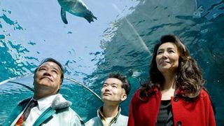 펭귄을 날게 하라 Penguins in the Sky - Asahiyama Zoo, 旭山動物園物語 ペンギンが空をとぶ รูปภาพ