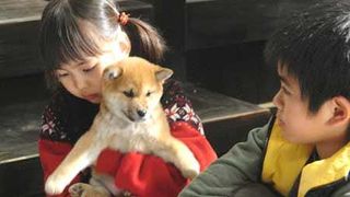마리와 강아지 이야기 A Tale of Mari and Three Puppies, マリと子犬の物語 Photo