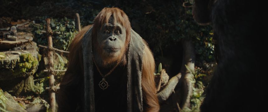 猿人爭霸戰：猩凶帝國  Kingdom of the Planet of the Apes劇照