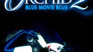Wild Orchid II: Two Shades of Blue 写真