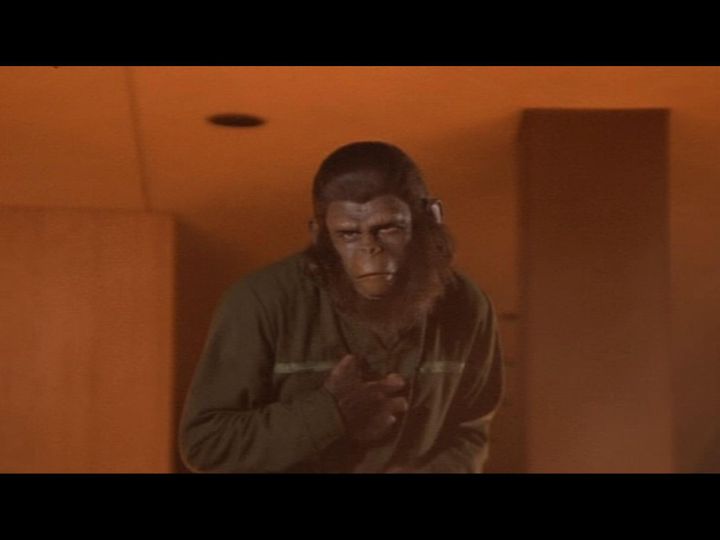 ảnh 猩球征服 Conquest of the Planet of the Apes