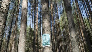 카렐리아: 인터내셔널 위드 마뉴먼트 Karelia: International with Monument劇照