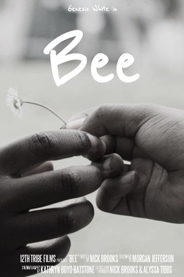 비 Bee 사진