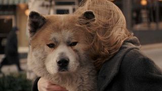 忠犬八公的故事 Hachi: A Dog\\\'s Tale 사진