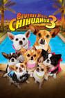 比佛利拜金狗 3 Beverly Hills Chihuahua 3: Viva la Fiesta!劇照