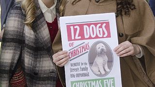 12 독스 오브 크리스마스: 그레이트 퍼피 레스큐 12 Dogs of Christmas: Great Puppy Rescue รูปภาพ