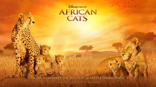아프리칸 캣츠 African Cats劇照