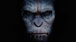 猩球崛起：黎明的進擊 Dawn of the Planet of the Apes Photo