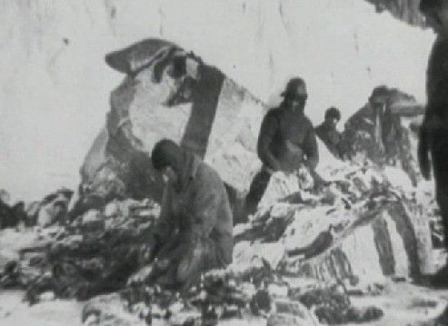 인듀어런스 The Endurance: Shackleton\'s Legendary Antarctic Expedition劇照