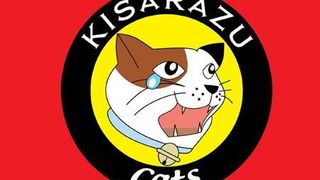 키사라즈 캐츠아이 월드시리즈 Kisarazu Catseye, 木更津キャッツアイ ワールドシリーズ 写真