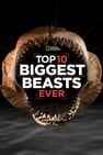 十大巨獸排行榜 Top 10 Biggest Beasts Ever劇照
