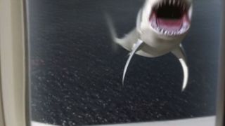 鯊魚啾大戰烏賊娘 Mega Shark vs Foto