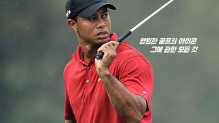 타이거 우즈: 아이콘 Tiger Woods: Icon 写真