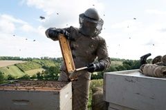 ảnh The Beekeeper
