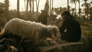 알리 앤드 히즈 미라클 십 Ali and His Miracle Sheep Photo