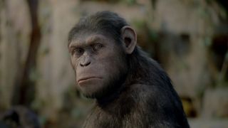 혹성탈출: 진화의 시작 Rise of the Planet of the Apes Photo