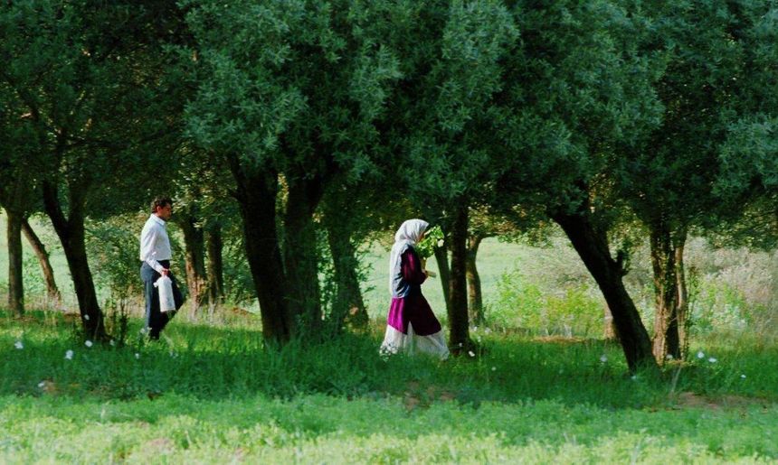 橄欖樹下的情人 THROUGH THE OLIVE TREES 写真