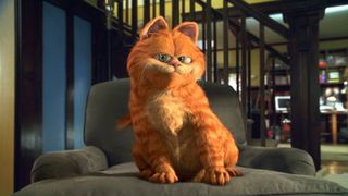 加菲猫 Garfield Photo