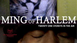 밍 오브 할렘: 트웬티 원 스토리스 인 디 에어 Ming of Harlem: Twenty One Storeys in the Air Foto