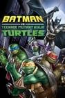 蝙蝠俠VS忍者龜 Batman vs. Teenage Mutant Ninja Turtles Photo