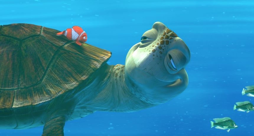 ảnh 海底总动员 Finding Nemo