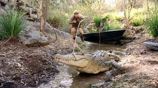 크로커다일 헌터 The Crocodile Hunter : Collision Course Photo