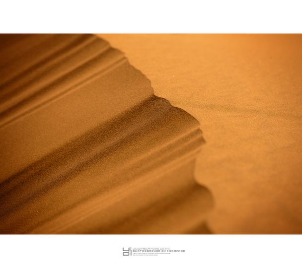 모래의 역습 2011劇照