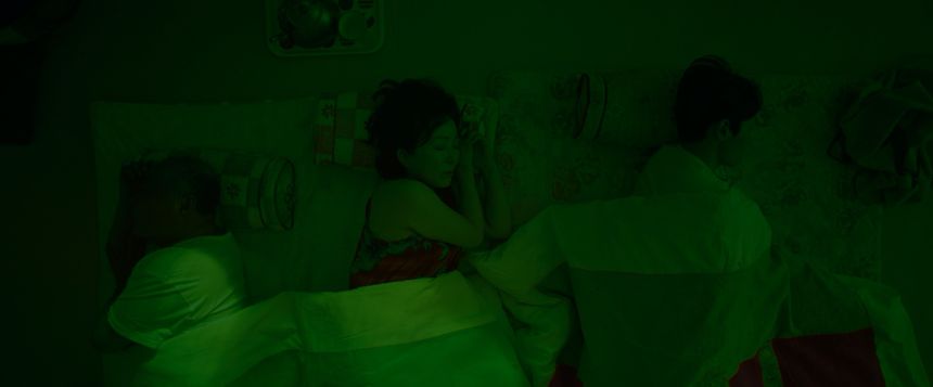 초록밤 Chorokbam 사진