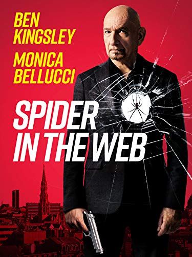 거미줄에 걸린 남자 Spider in the Web รูปภาพ