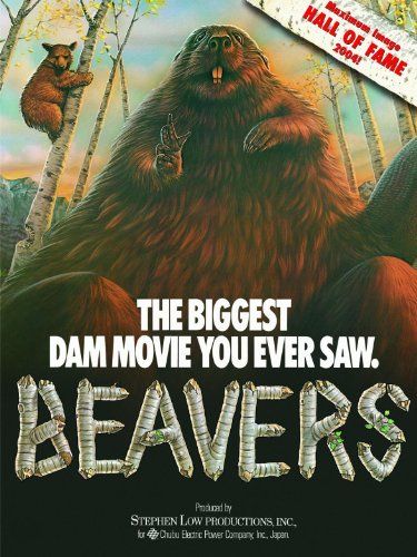 海狸 Beavers劇照