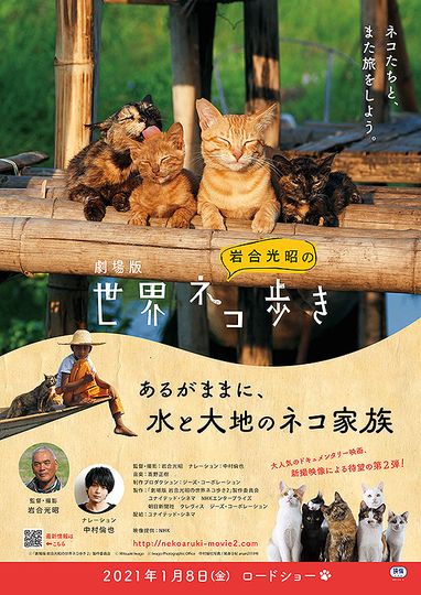 劇場版　岩合光昭の世界ネコ歩き　あるがままに、水と大地のネコ家族劇照