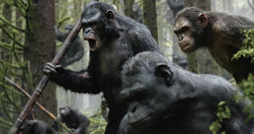 혹성탈출: 반격의 서막 Dawn of the Planet of the Apes Photo