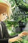 琴之森 ピアノの森 写真