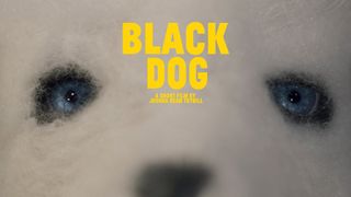블랙독 Black Dog Foto