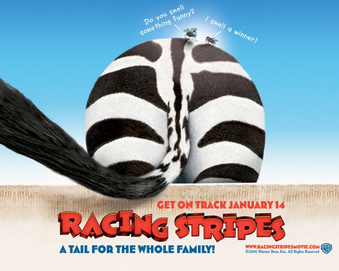 레이싱 스트라이프 Racing Stripes 사진