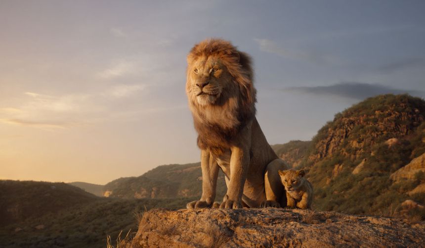 라이온 킹 The Lion King Photo
