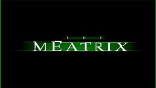 미트릭스 The Meatrix Photo