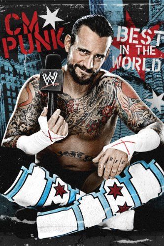 WWE: CM Punk - Best in the World Foto