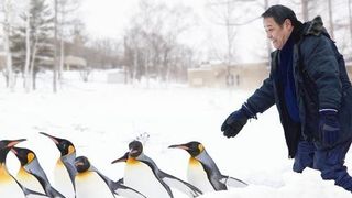 旭山動物園物語　ペンギンが空をとぶ 写真