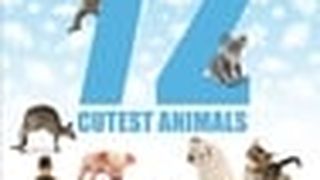 ảnh 72 大可愛動物 72 Cutest Animals