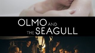 ảnh 10개월 Olmo & the Seagull