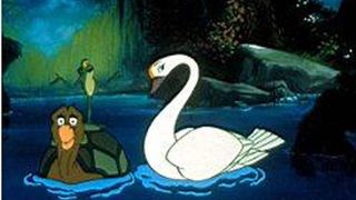 백조 공주 The Swan Princess Photo