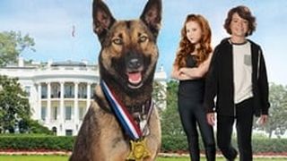 軍犬麥克斯2：白宮英雄 Max 2: White House Hero劇照
