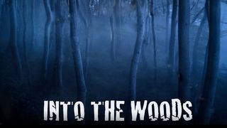 Into the Woods the Woods รูปภาพ