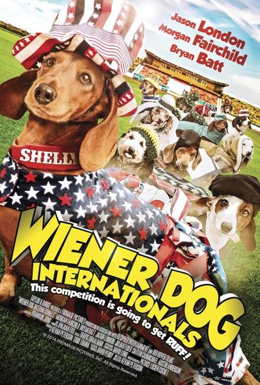 Wiener Dog Internationals Dog Internationals劇照