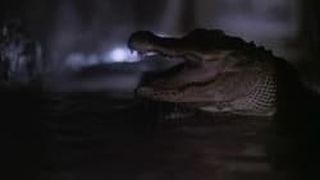 Alligator 2: The Mutation Photo
